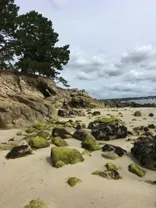 La Pastourelle